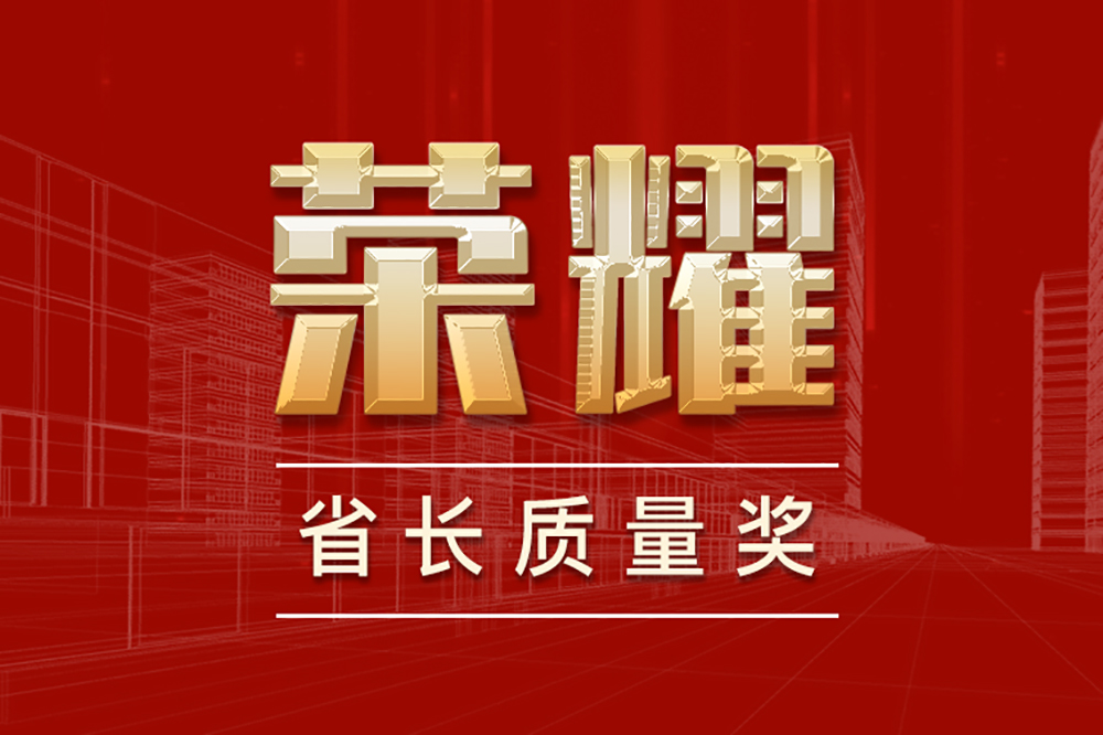 “省長質(zhì)量獎”為友誼咨詢榮譽榜再添新彩